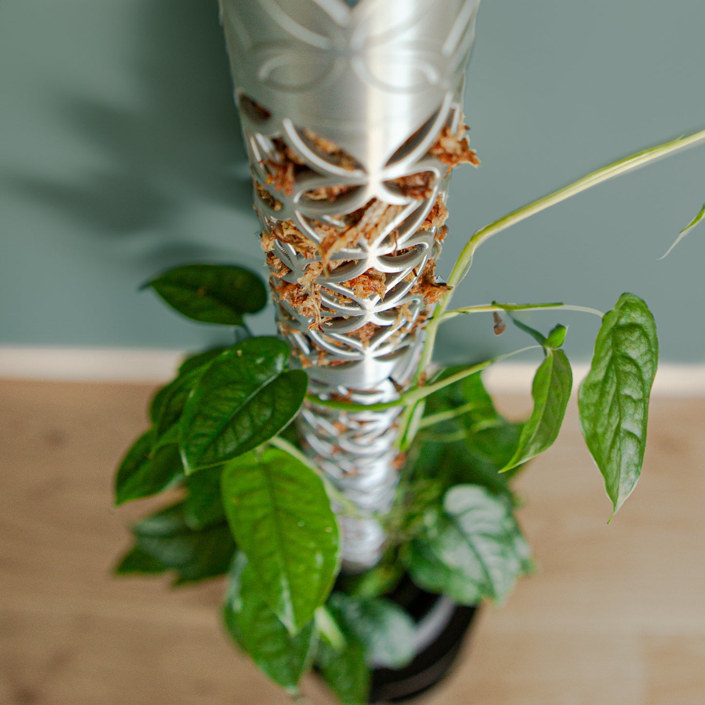 Ensemble de Tuteur à mousse "Morocco" M ⌀5,1 cm