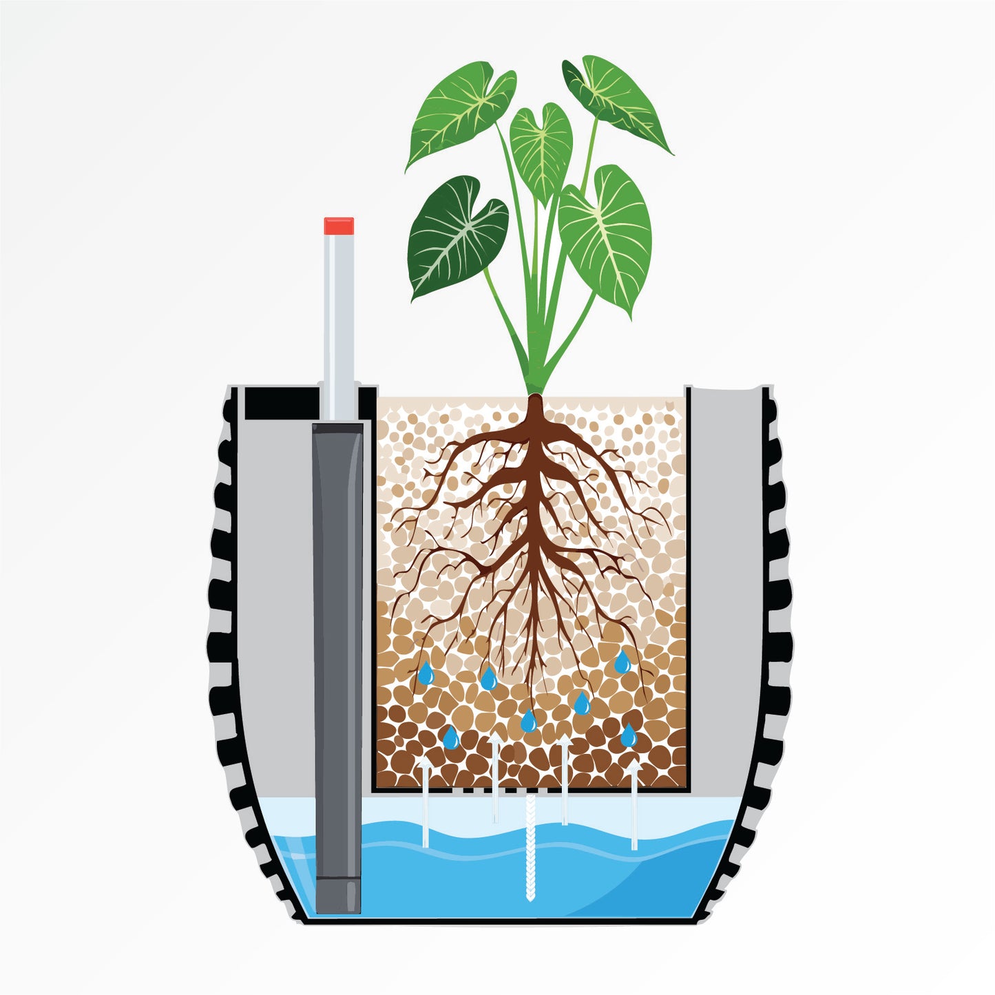 Self-Watering Planter "Andalusia" - Size M