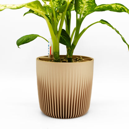 Self Watering Planter "Amazonia"