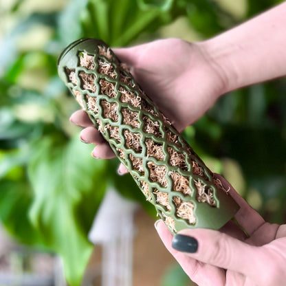 Lot De 30 Tuteurs Pour Plantes Grimpantes Avec Mousquetons Et Tubes D'Extension – Kit Complet 75 Pièces En Fibre De Verre Vert